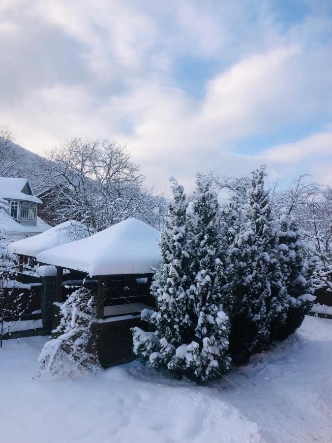 Котедж Гірський Yaremche Exterior photo