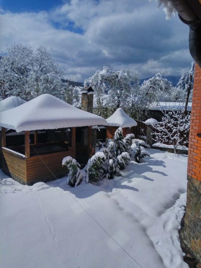Котедж Гірський Yaremche Exterior photo