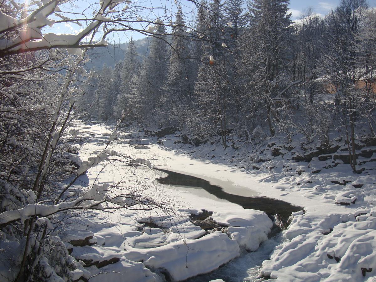 Котедж Гірський Yaremche Exterior photo