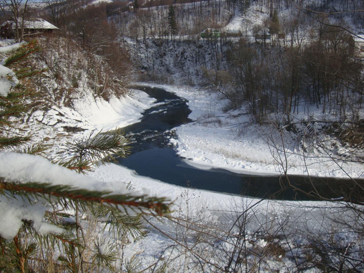 Котедж Гірський Yaremche Exterior photo
