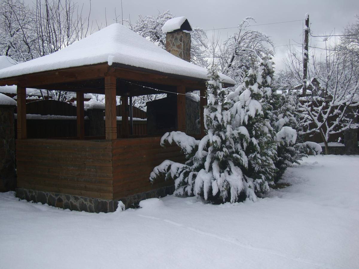 Котедж Гірський Yaremche Exterior photo